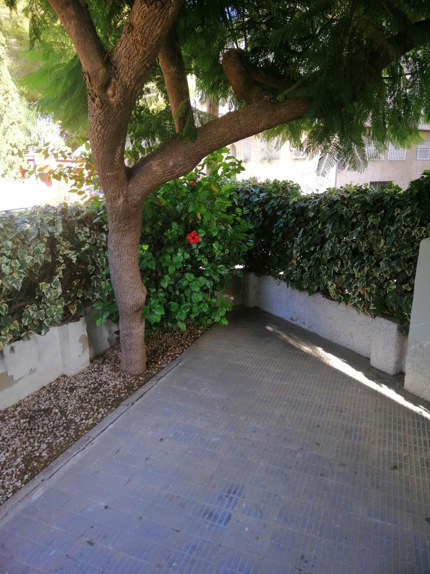 Chalet II Con Jardin Y Wifi En La Playa 圣佩德罗－德尔皮纳塔尔 外观 照片